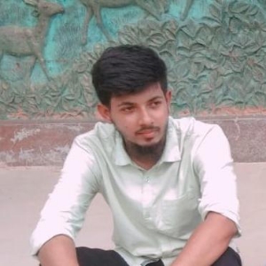MD. Parvez Ahmed profile picture